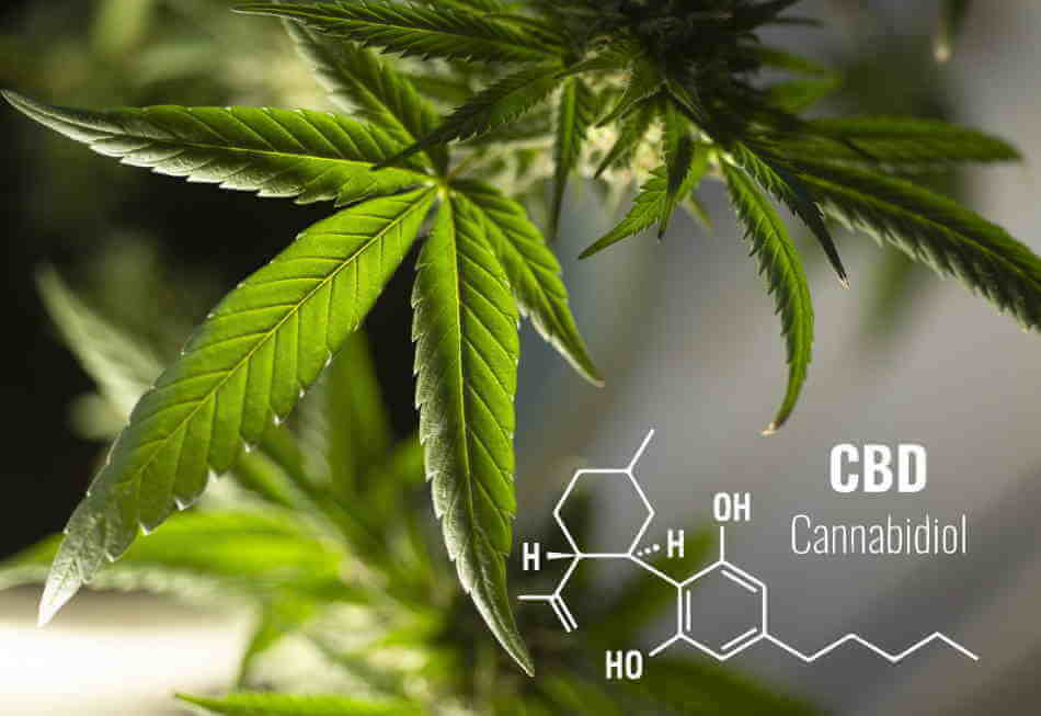 What are the Health Benefits of CBD-Infused Nutraceuticals?